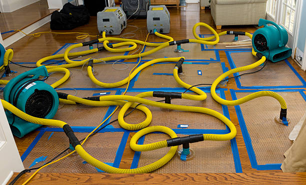 Professional Water Damage Restoration technician working in Pembroke, MA